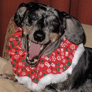 Meet your Posher, Bonnie